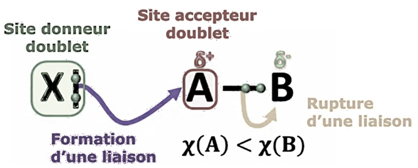 Modelisation réactions